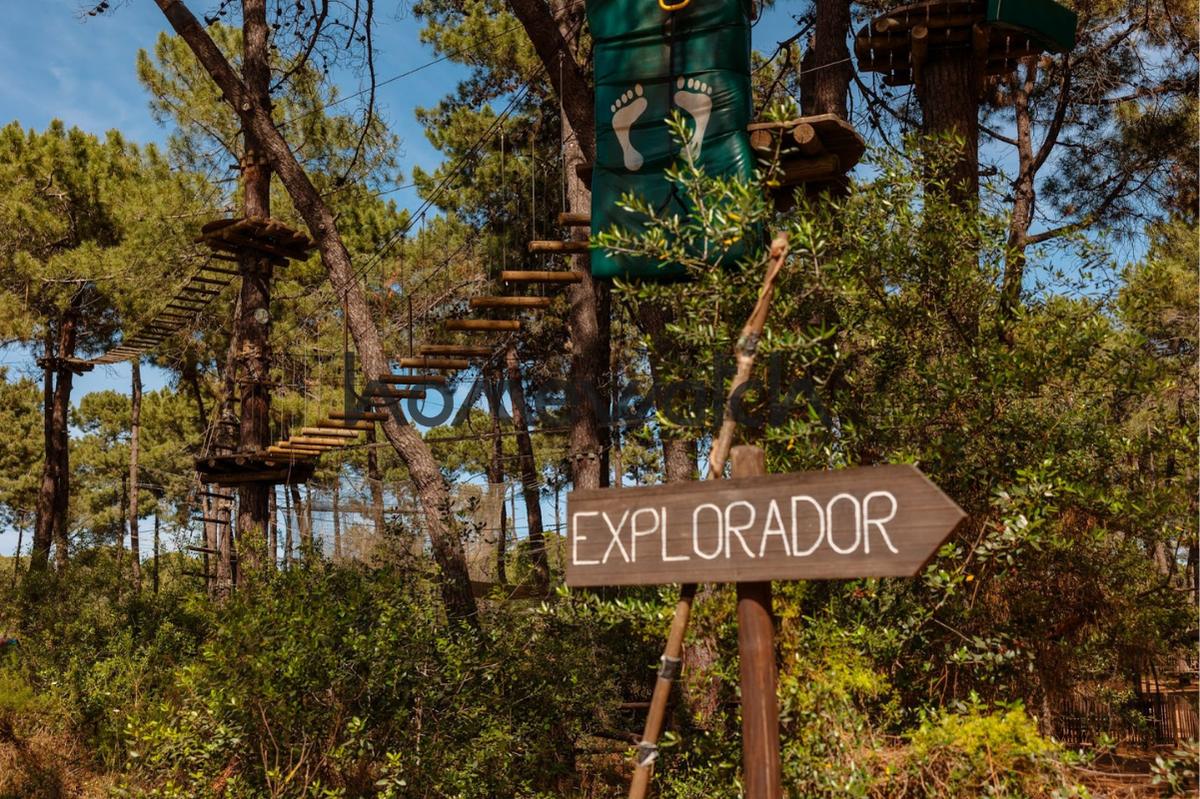 Parque de aventura entre pinos