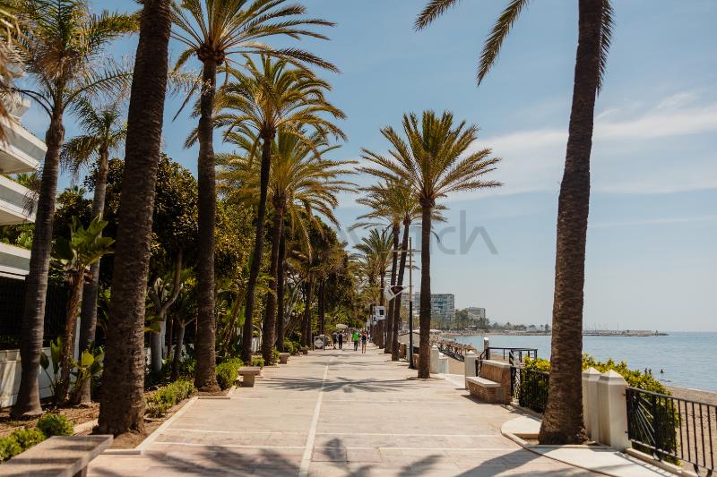 Paseo marítimo de Marbella